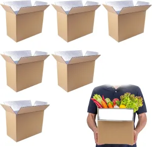6 Pack Insulated Shipping Box for Shipping Frozen Food Cold Shipping Boxes Large Foil Cooler Carton Moving Kits for Mailing Packing (Box Size 11 x 6.1 x 7.1 Inch)