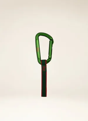 Carabiner Aluminum Accessory In Green