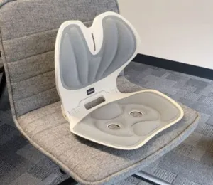 Foldable Posture Support Floor Chair - new for 2025!
