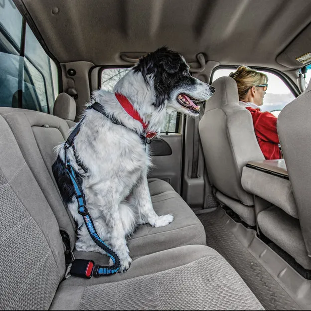 Kurgo Bungee Seat Belt Tether