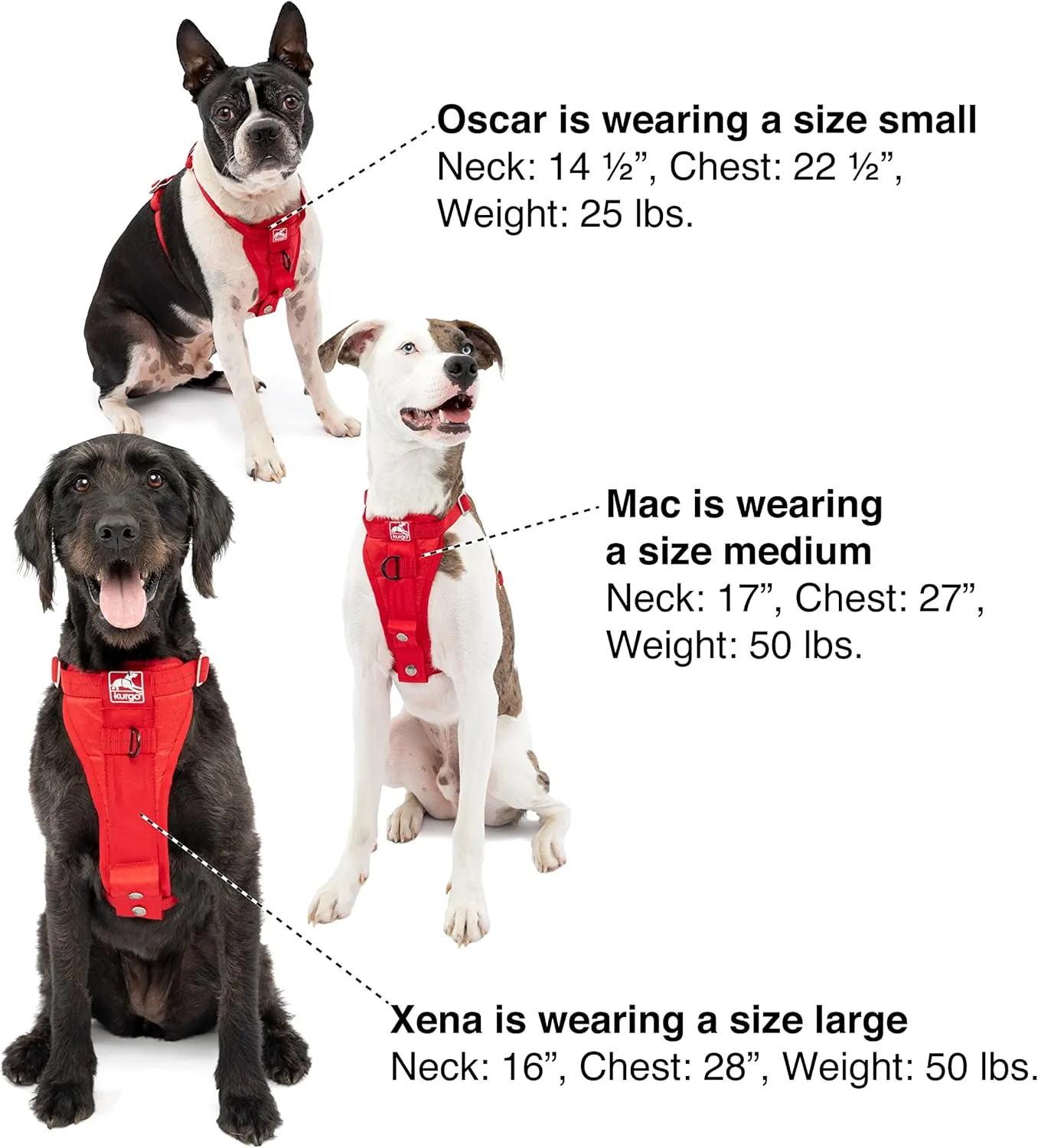 Kurgo Tru-Fit Enhanced Strength Dog Harness - Crash Tested Car Safety Harness for Dogs, No Pull Dog Harness, Includes Pet Safety Seat Belt (Black, Medium)