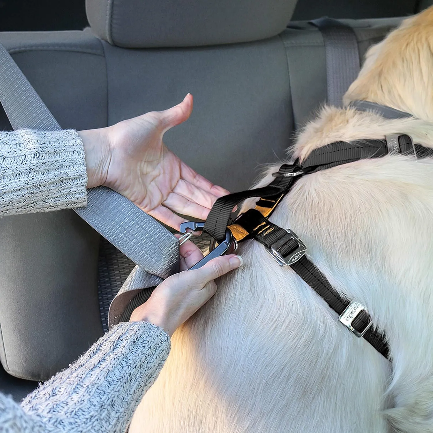 Kurgo Tru-Fit Enhanced Strength Dog Harness - Crash Tested Car Safety Harness for Dogs, No Pull Dog Harness, Includes Pet Safety Seat Belt (Black, Medium)