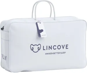 Lincove The Pillow Tote Bag - Pillow Bag For Travel, Measures 21”x13”x6”