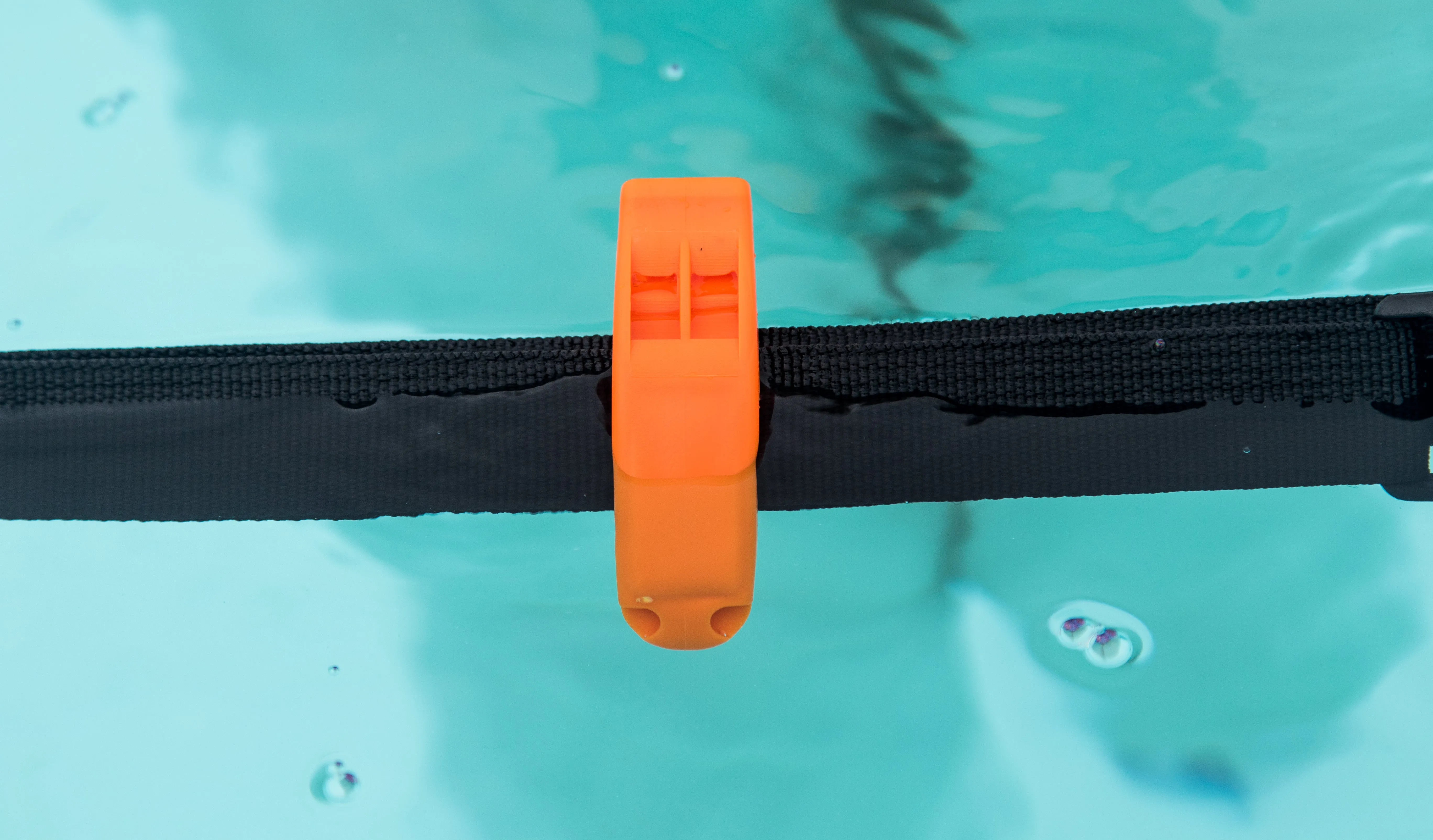 Safety Whistle
