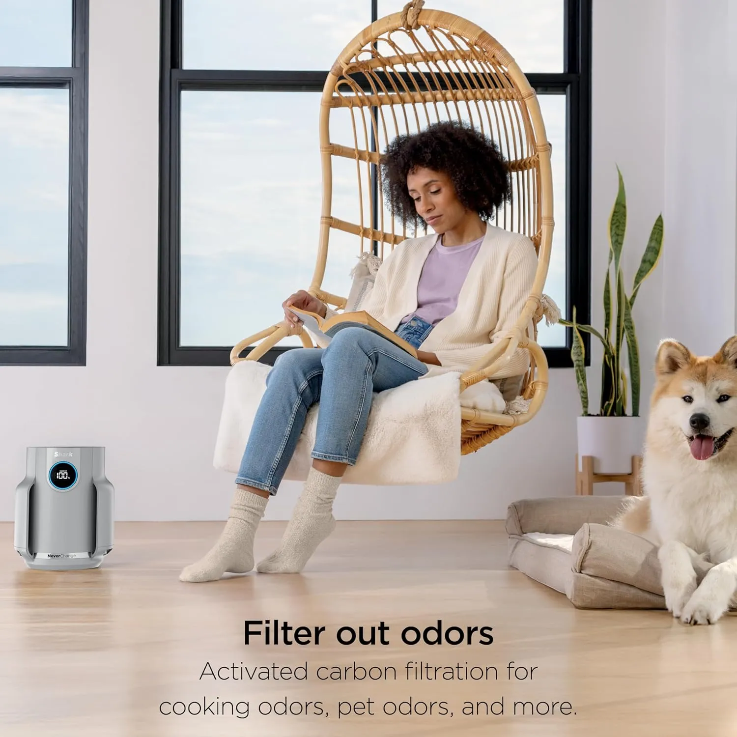Shark NeverChange Air Purifier Compact Pro with Long-lasting HEPA Exceeding Filtration, For Pet Dander, Dust, Smoke, Allergens, Up to 250 sq. ft. for Bedroom, Home Office, Dorm, HP071BRN (2025)