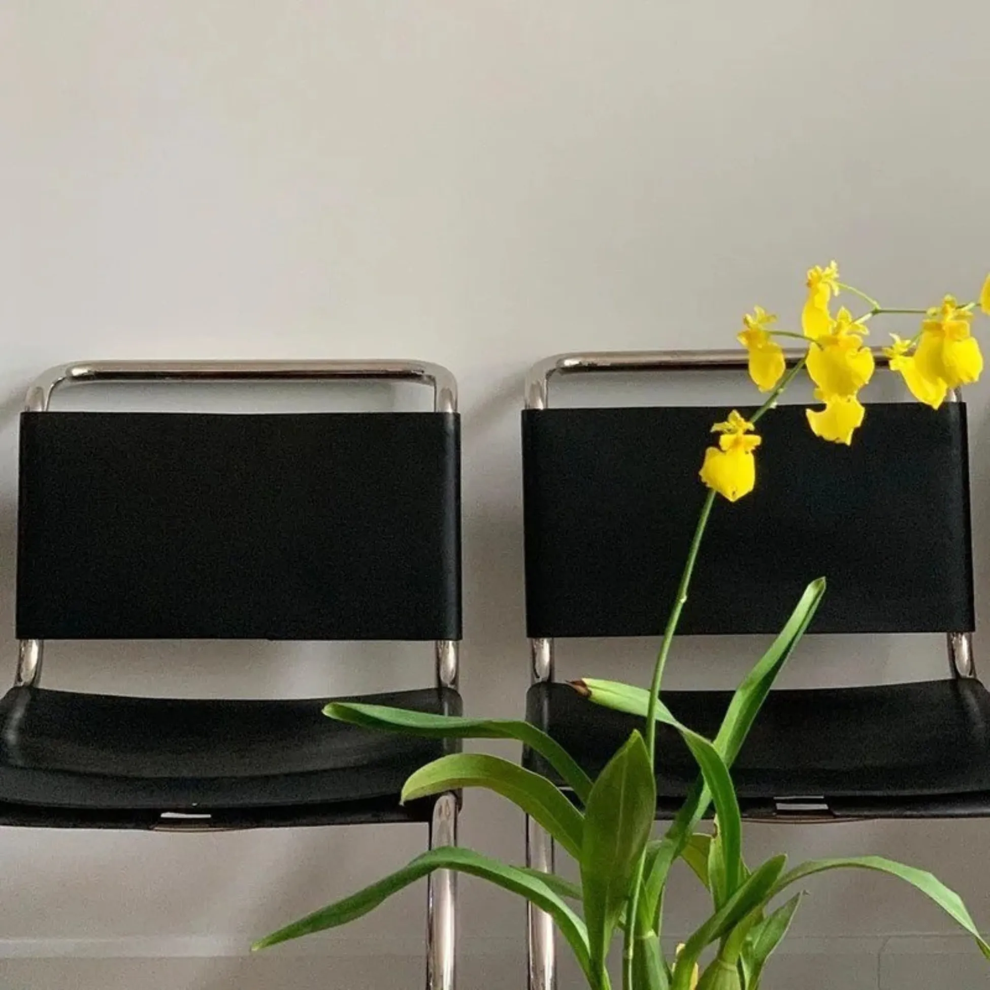 Udela Dining Chair