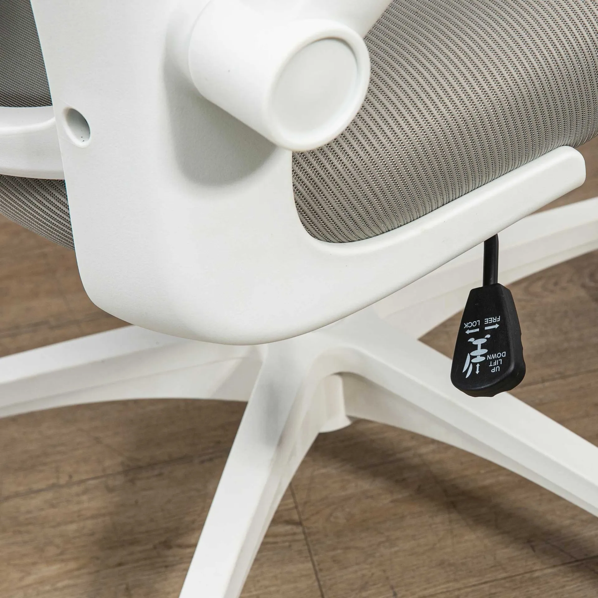 Vinsetto Multi-Adjustable Office Chair, with Lumbar Support, Headrest and Mesh Back in Grey