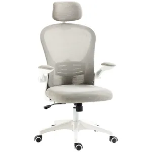 Vinsetto Multi-Adjustable Office Chair, with Lumbar Support, Headrest and Mesh Back in Grey
